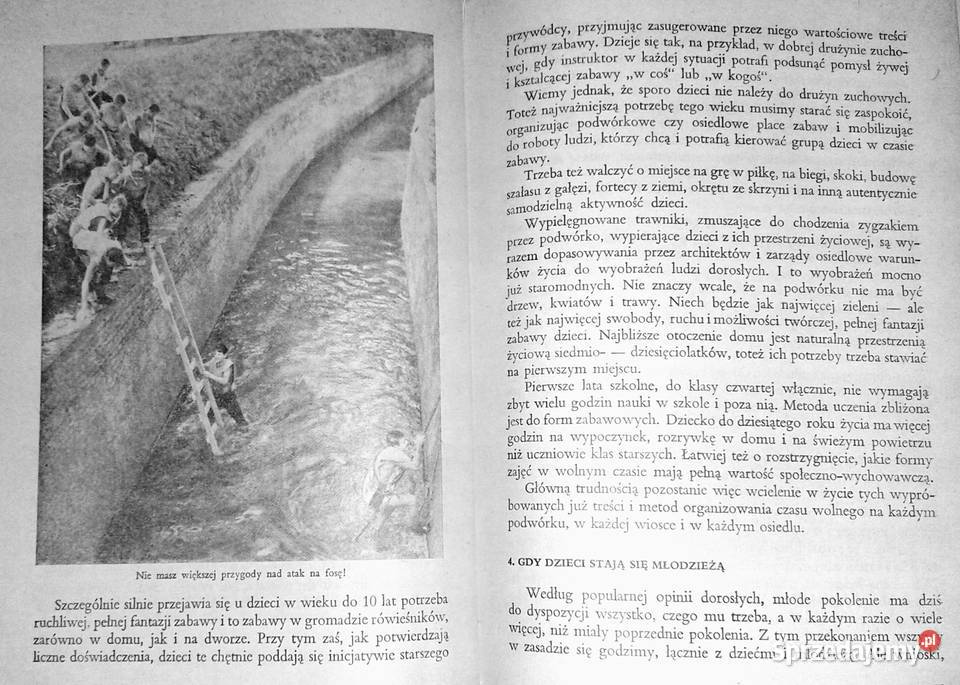 Czas wolny dzieci i młodzieży Zygmunt Dąbrowski