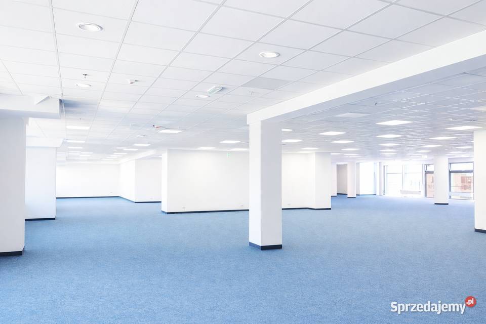 Lokal na siłownię piętro biurowca w centrum Piętro 1 Wynajem Gdynia