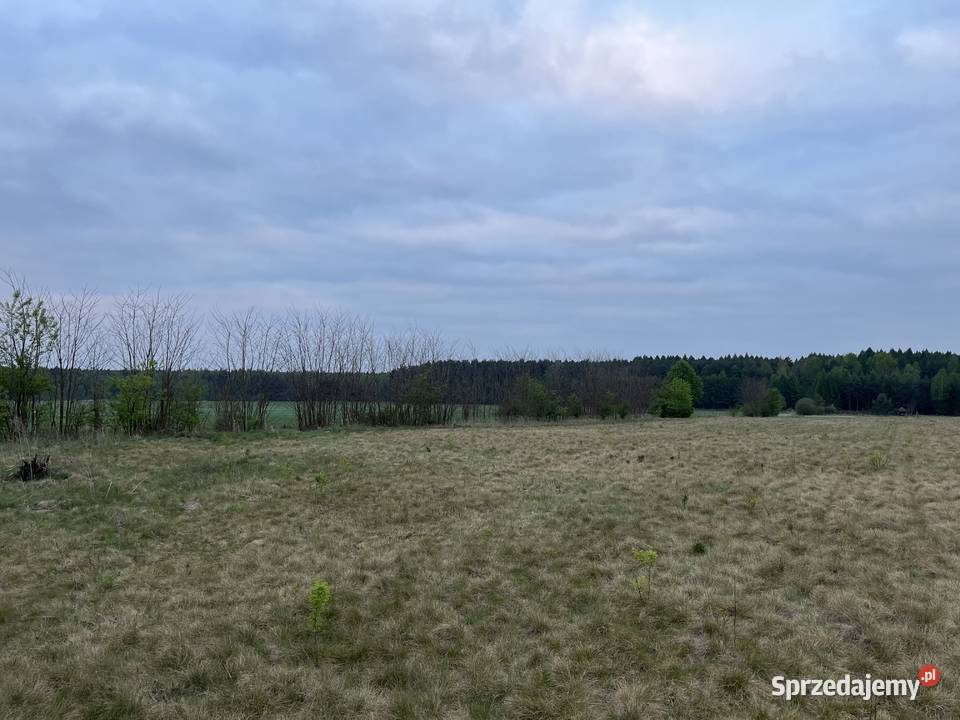 Działka budowlana budowlana sprzedam