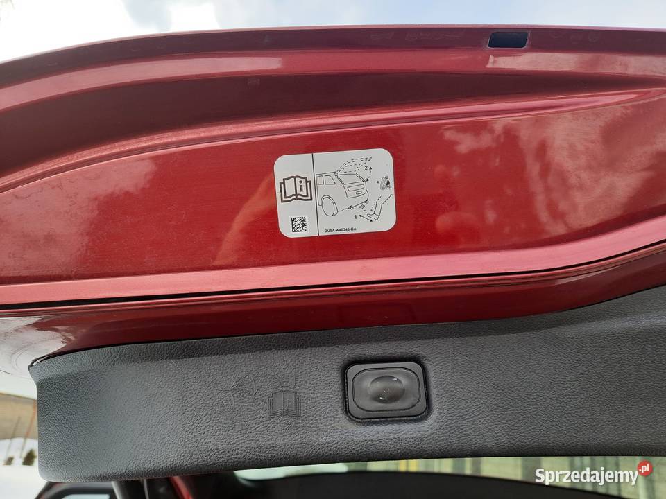 Forg S 20TDCI 7 foteli 2017r 1997cm3 Radom