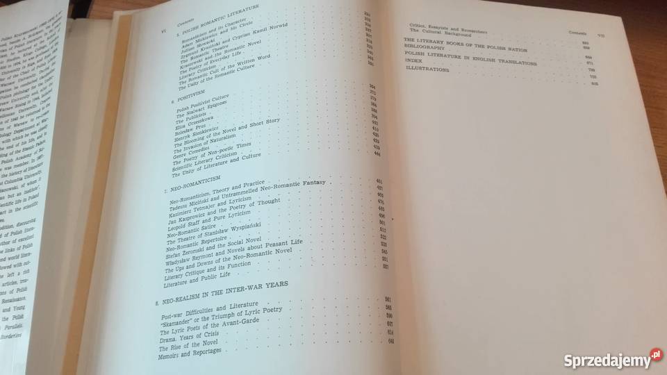 A history of Polish literature by Julian Gdańsk sprzedam