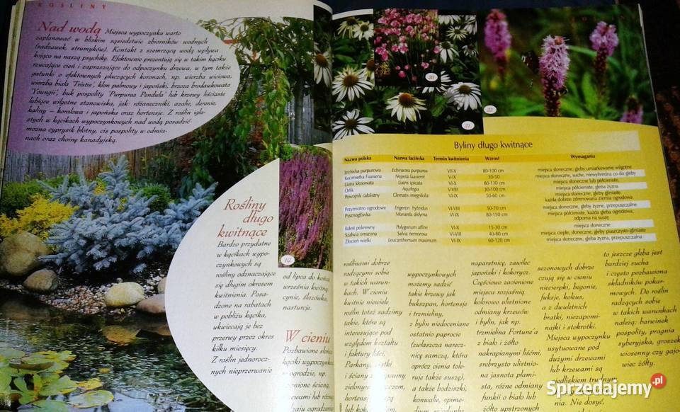 Działkowiec specjalny 12342004 Chełm