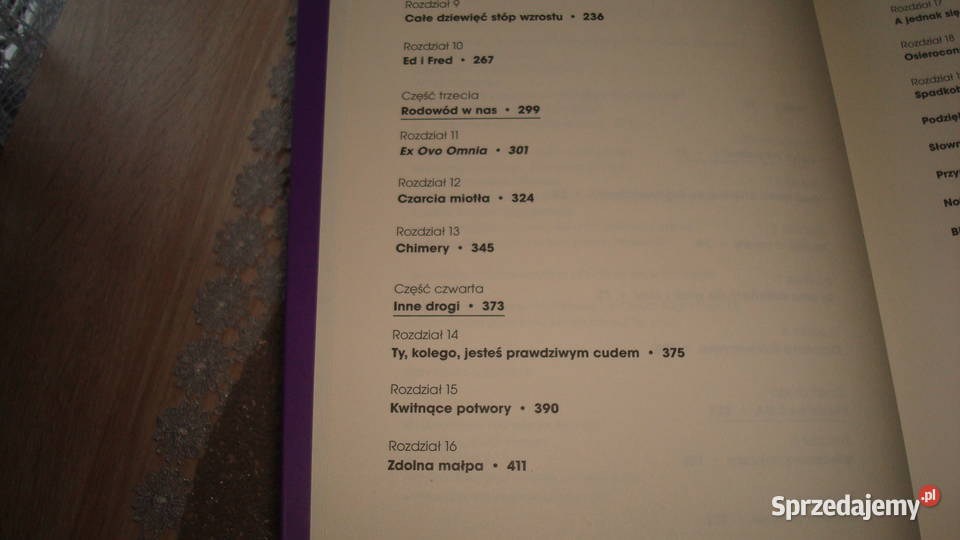 Śmiech ma matce Zimmer js Kruszwica