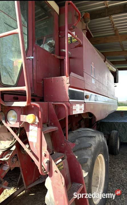 Kombajn CASE IH 1440 lubelskie Modryniec
