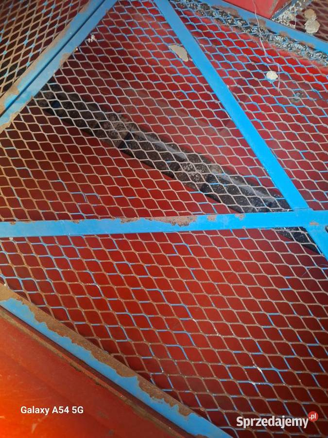 Siewnik do kukurydzy Monosem Szumowo sprzedam