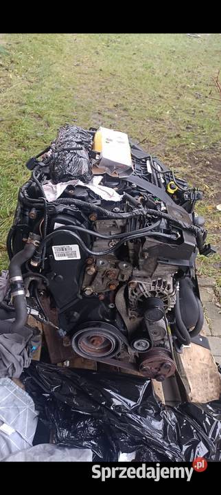 silnik 20 tdci Ford Mondeo kuga s c fokus Częstochowa