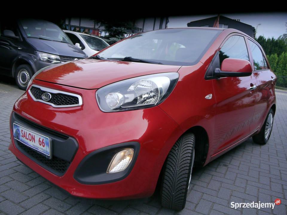 Kia Picanto 10 Stan Idealny 100bezwypadkowy śląskie