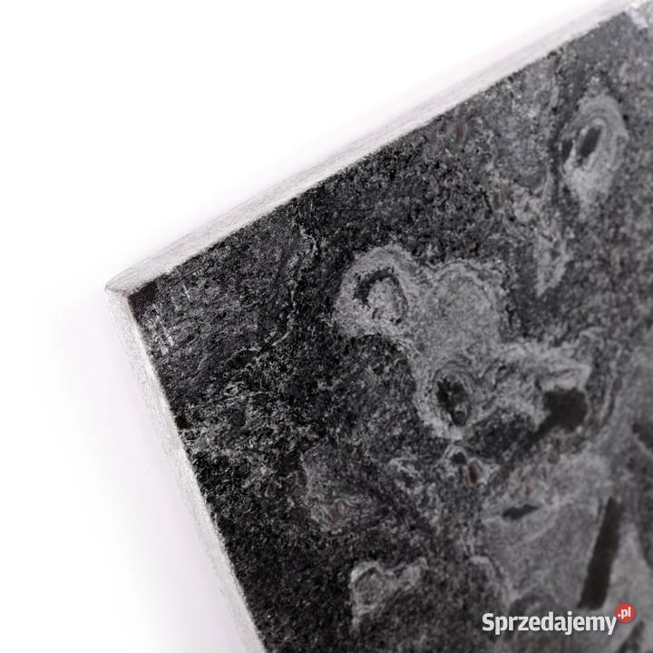 Płytki kwarcyt Silver Grey szlifowany 60x60x12 Rumia