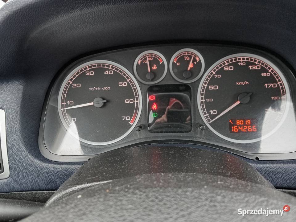 Peugeot 307 16 164 Przebiegu 307 Grybów