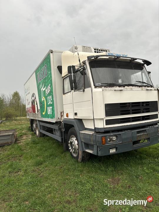 Jelcz 318 izoterma sprzedam