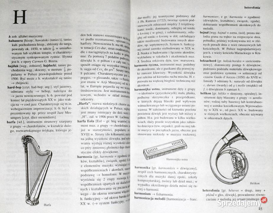 Muzyka Słownik Szkolny Irena Poniatowska Chełm