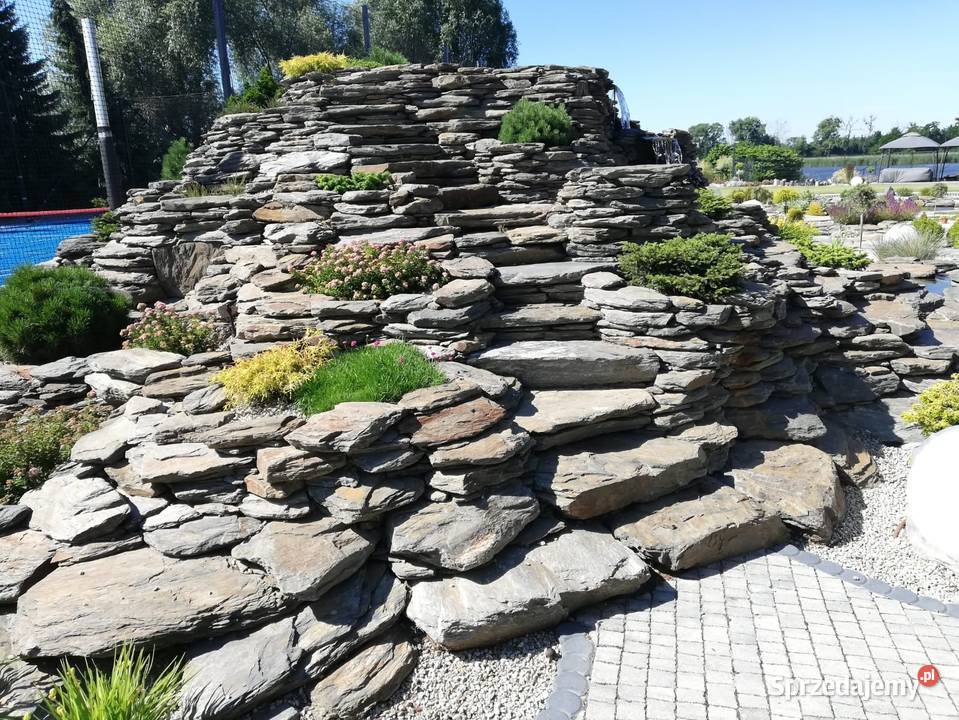 księżycowy łupek wielkopłytowy Księżyce