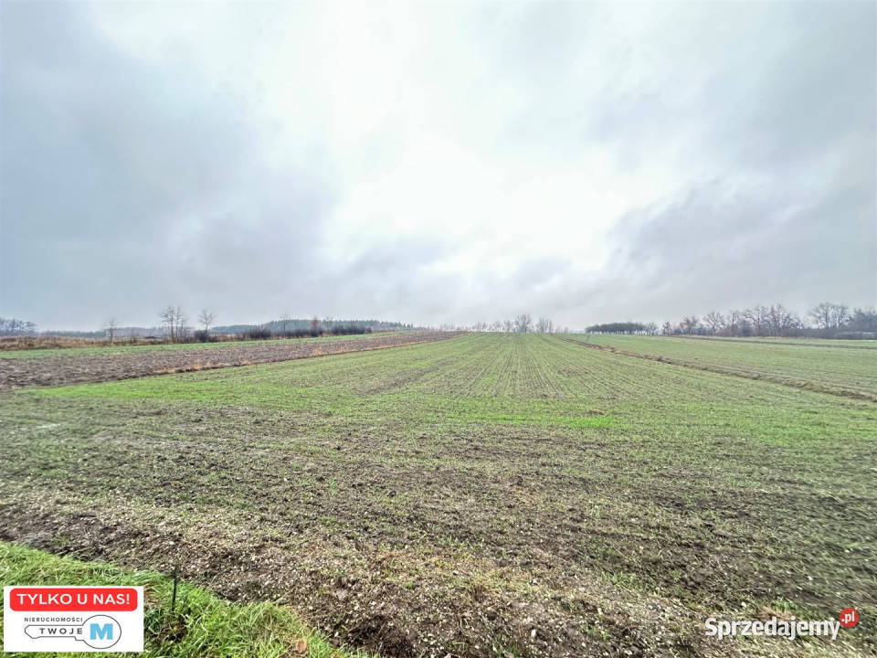 Działka 5800m2 Gnojno