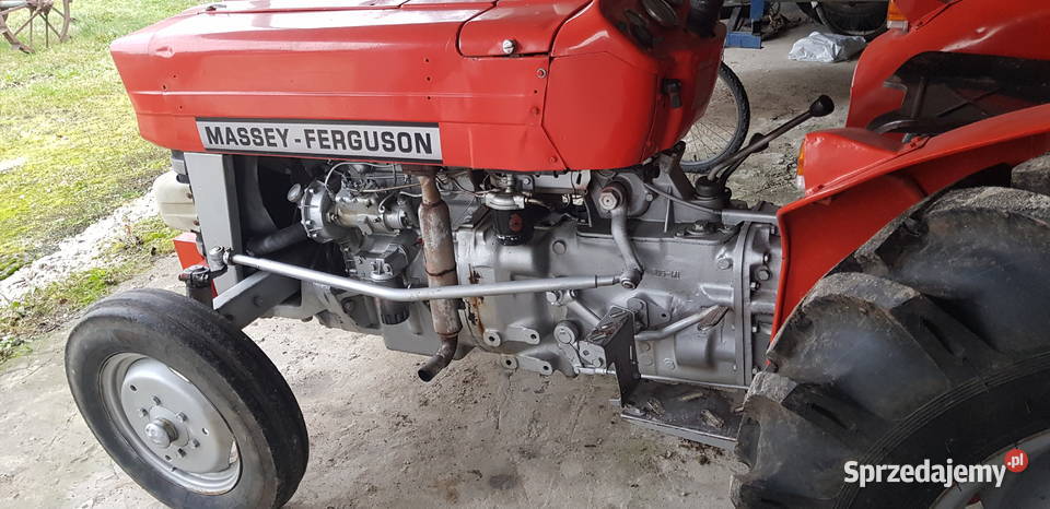 Ciągnik Massey Ferguson 135 Szydłów sprzedam