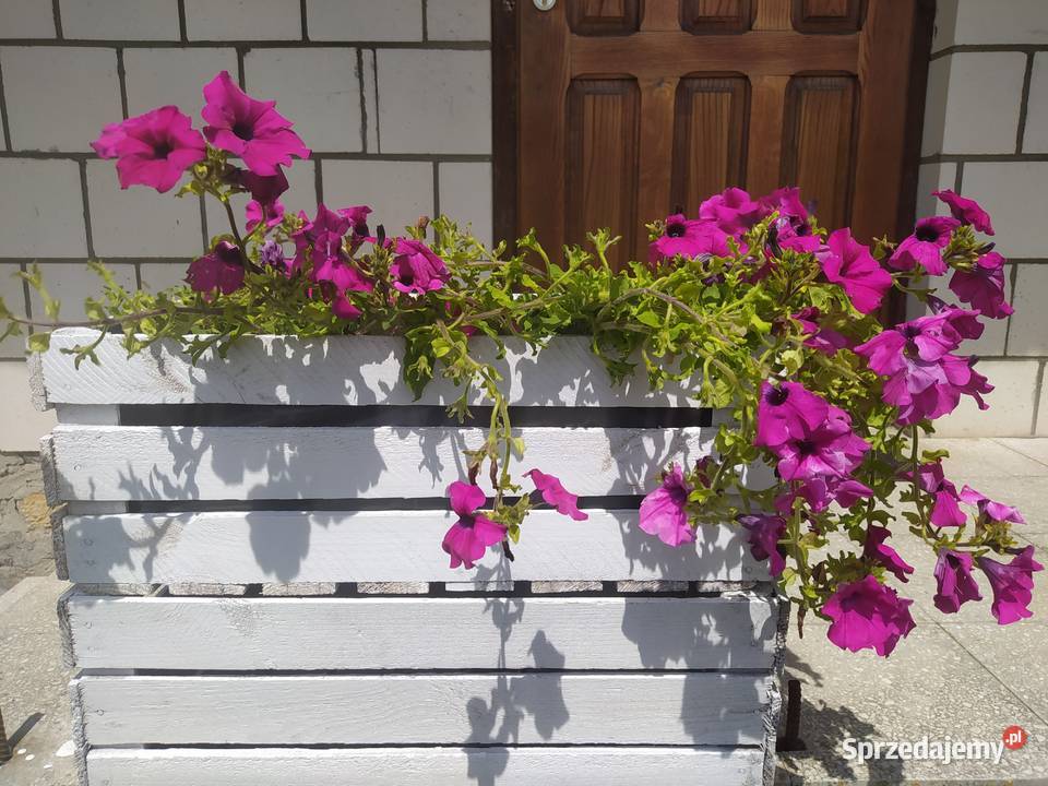 skrzynka drewniana na kwiaty warzywa owoce półkę świętokrzyskie Łagów