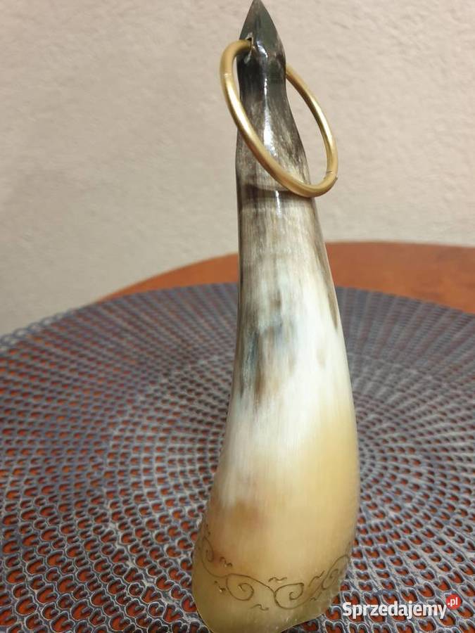 Ozdobny róg myśliwski Radom