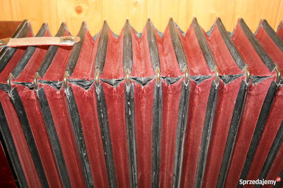 Akordeon Lignatone Instrumenty klawiszowe i MIDI Tarnowskie Góry