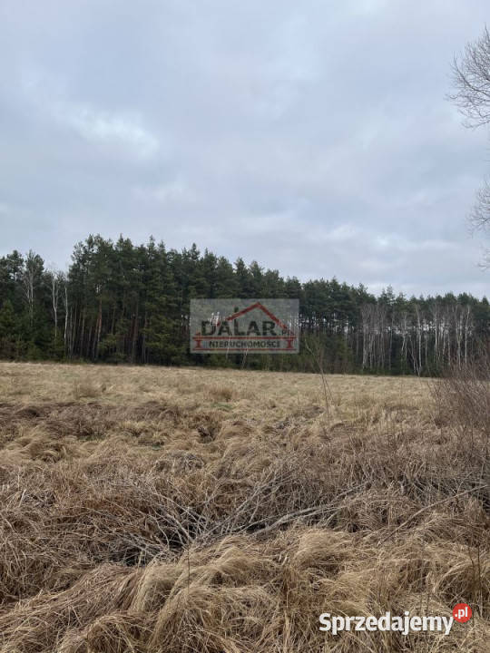 sprzedaży działki 1000m2 Biały Ług