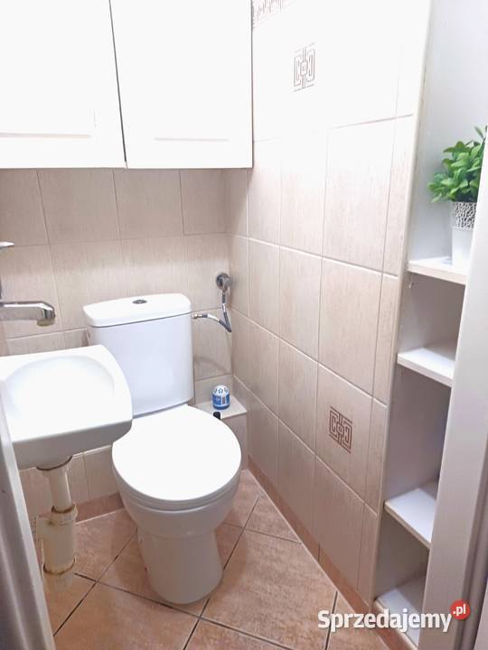 Pokój do wynajęcia dziewczyny Warszawa Bielany Liczba pokoi 4 mazowieckie