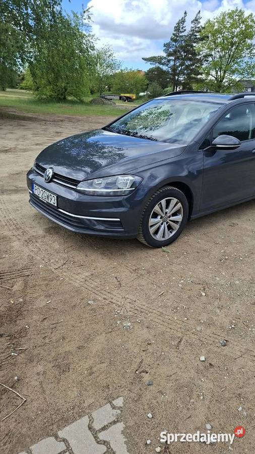 Golf VII Diesel Golf Poznań