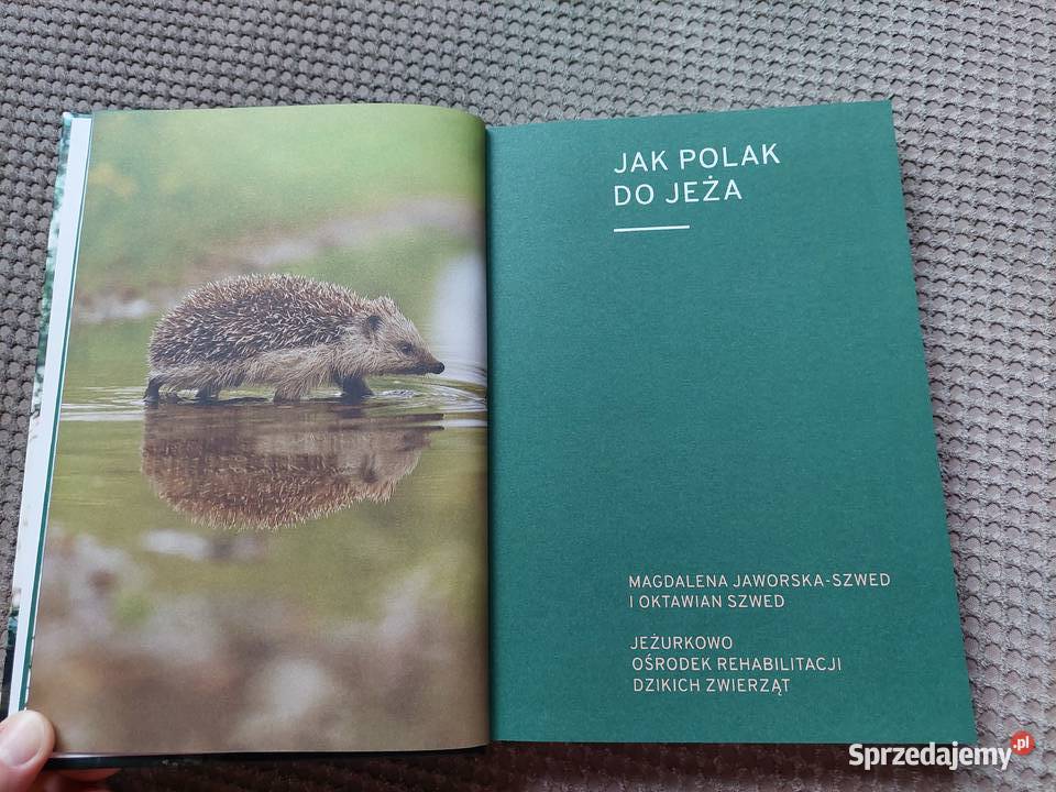 nowa Marcin Dorociński Na ratunek Kraków