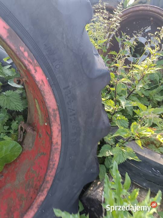 Opony Taurus 136r36 kilka sztuk Dragany