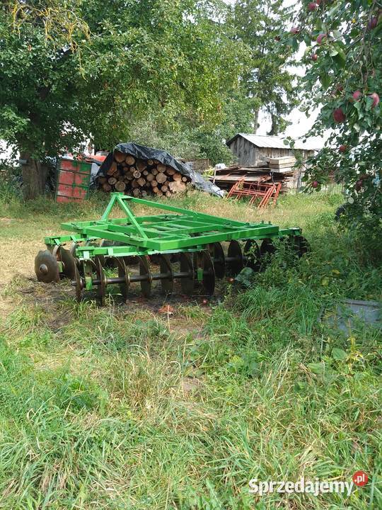 Talerzówka Augustów