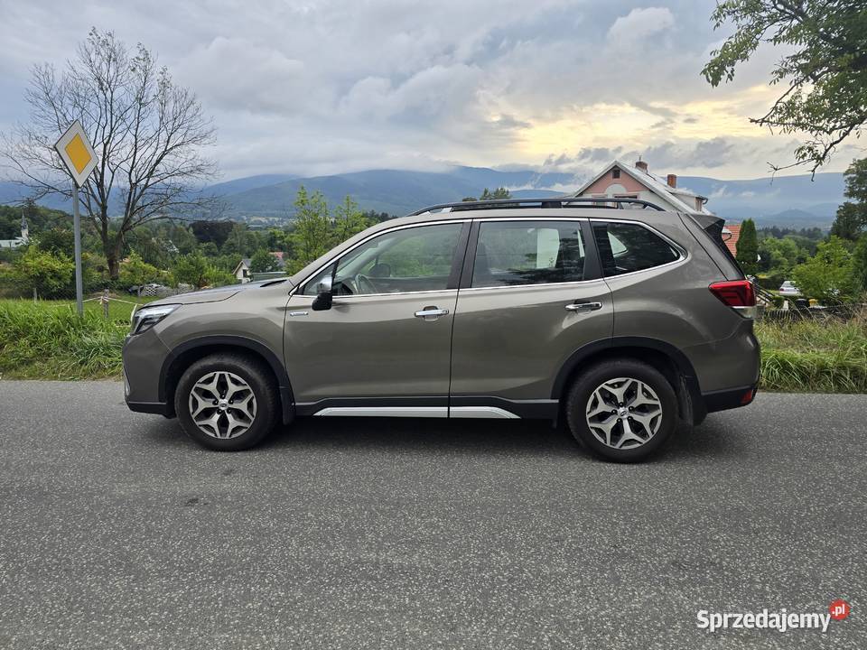 Forester 20 Eboxer Kowary