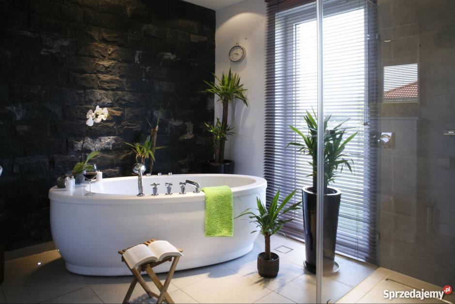 Kamień Dekoracyjny Płytki Ozdobne Cegły z Fugą Ściany i elewacje Kraków