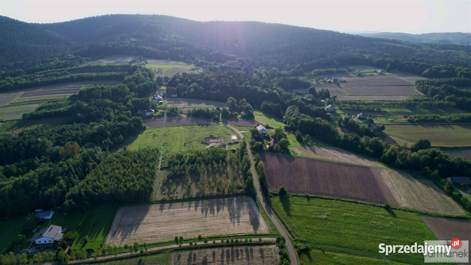 Działka 4775m2 Błażkowa 40zł/m2