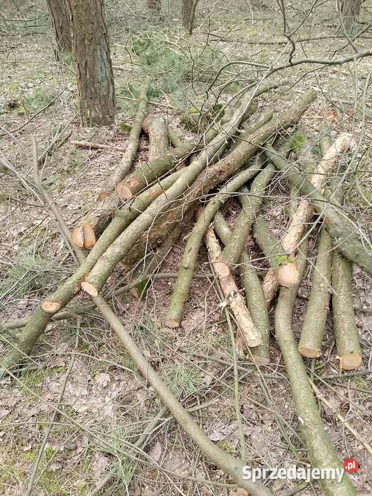 Sprzedam kujawsko-pomorskie Gniewkowo
