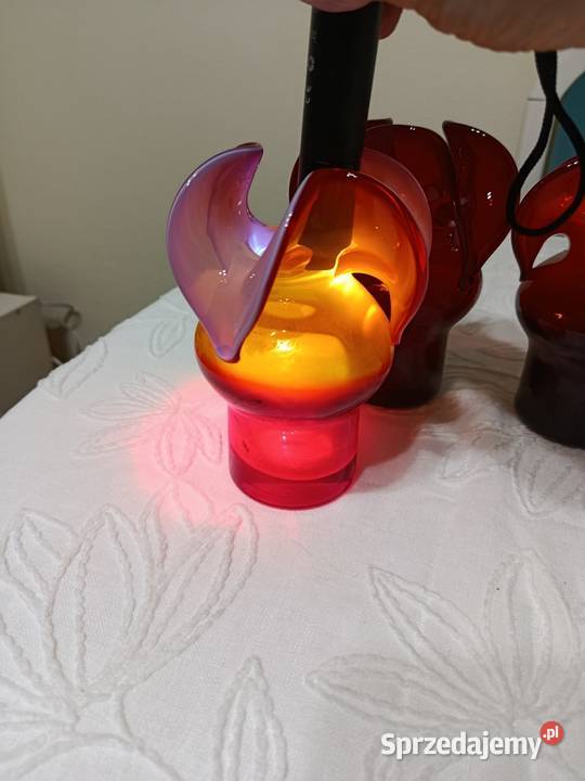 Osiołki CzZubera Warszawa