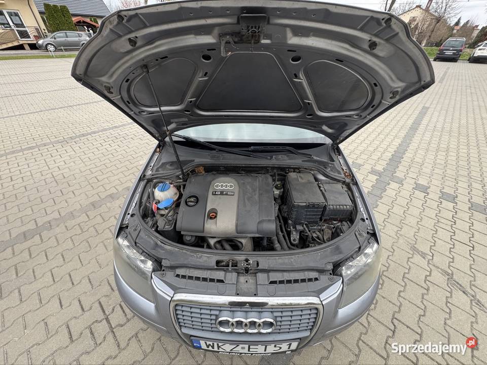 AUDI A3 8p 2004 r Hatchback Zajezierze