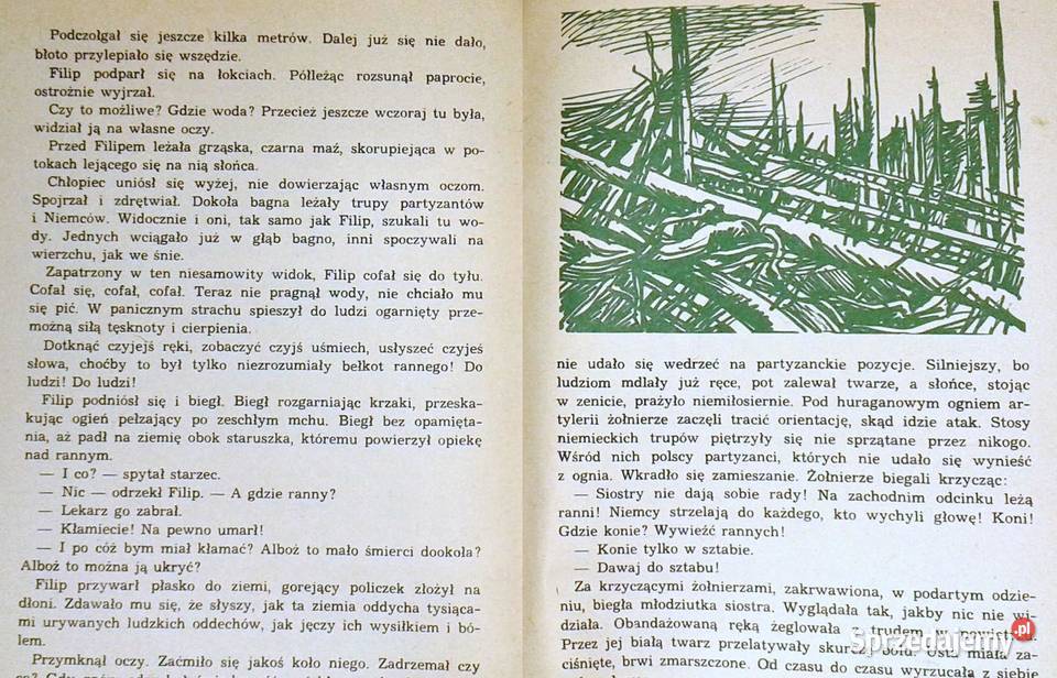 Las moim domem Wanda Żółkiewska lubelskie Chełm