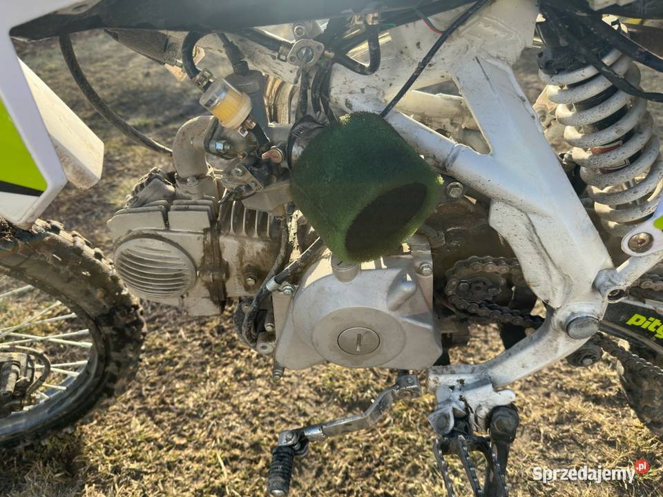 Pitgang 140XD Rok produkcji 2025 Nasutów