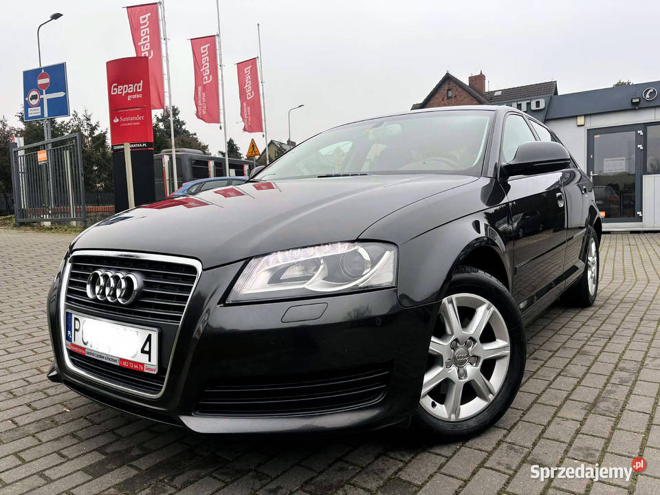 Alu 16 Klimatronik 1400cm3 Czarnków