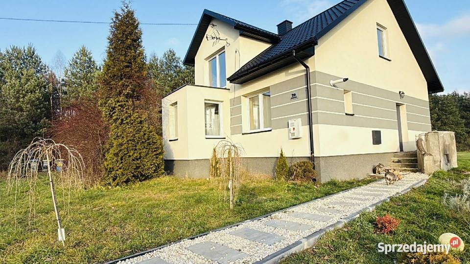 Dom siedlisko z dużym potencjałem Domy świętokrzyskie Kolonia Piaski sprzedam