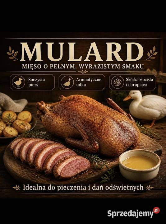 Sprzedam kaczkogęsi Mulard