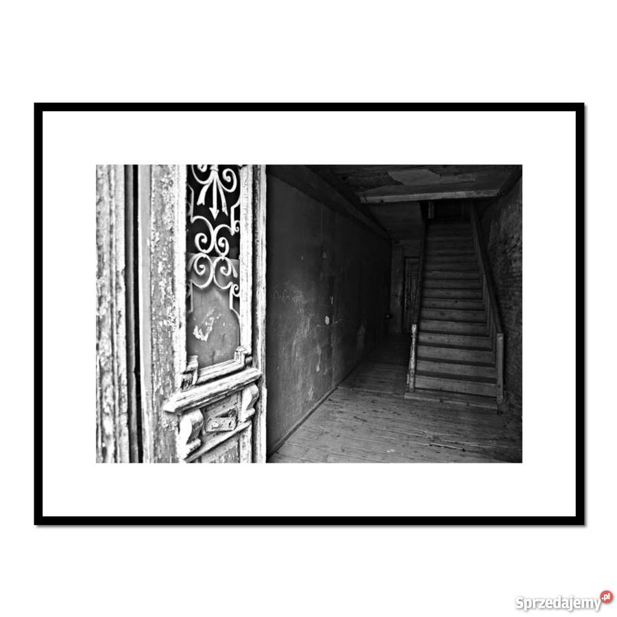 Standing still 3 fotografia autorska Malbork sprzedam