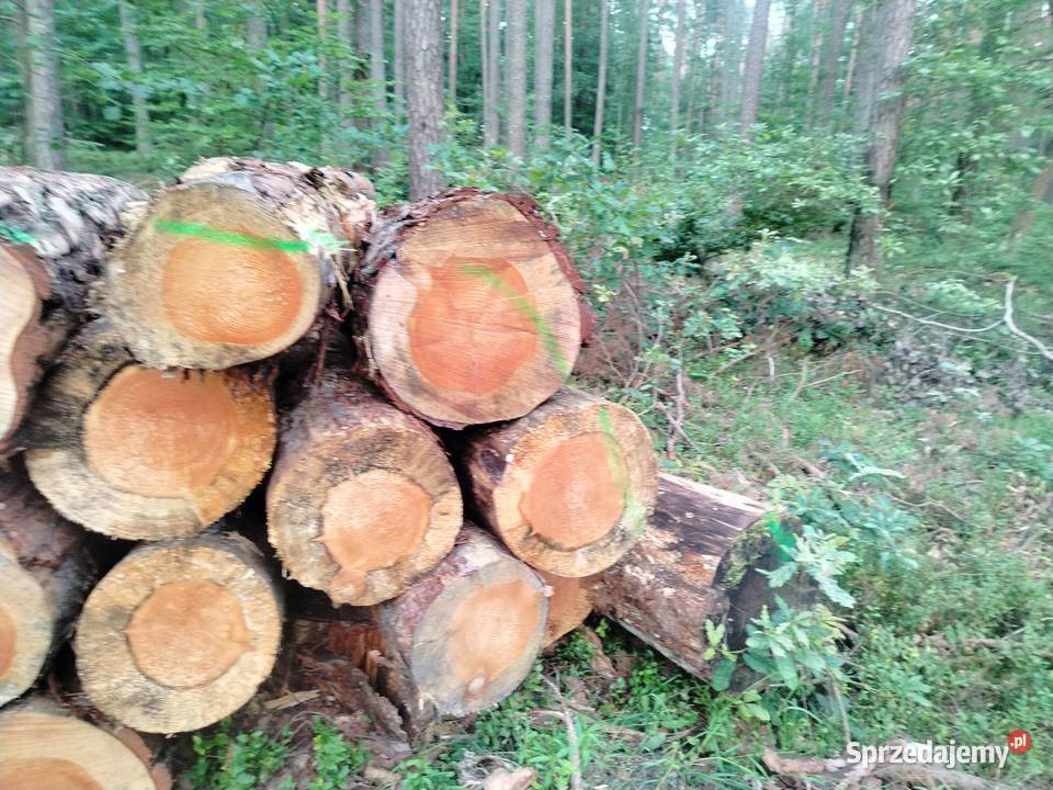 Drewno opałowe i kominkowe