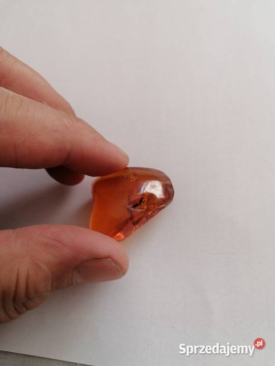 Bursztyn inkluzja podlaskie