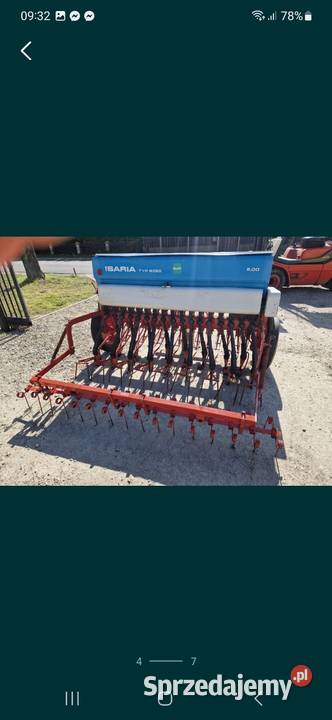 Siewnik Isaria nieuszkodzony wielkopolskie Pogorzela