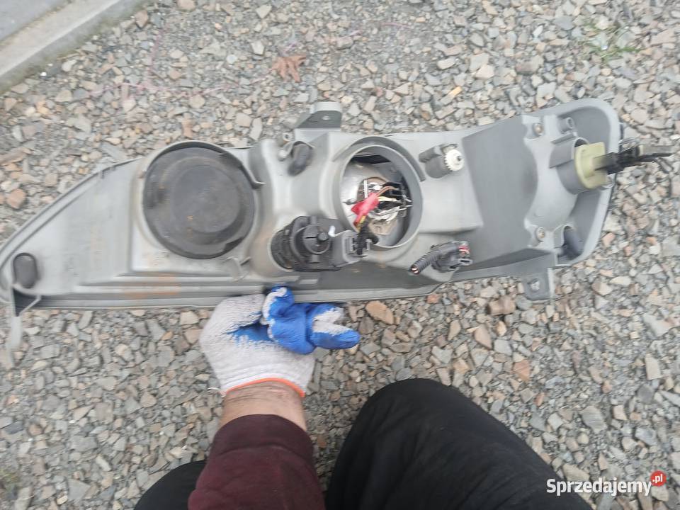 Reflektor lampa przód prawa Honda Accord 6 VI Radłów sprzedam