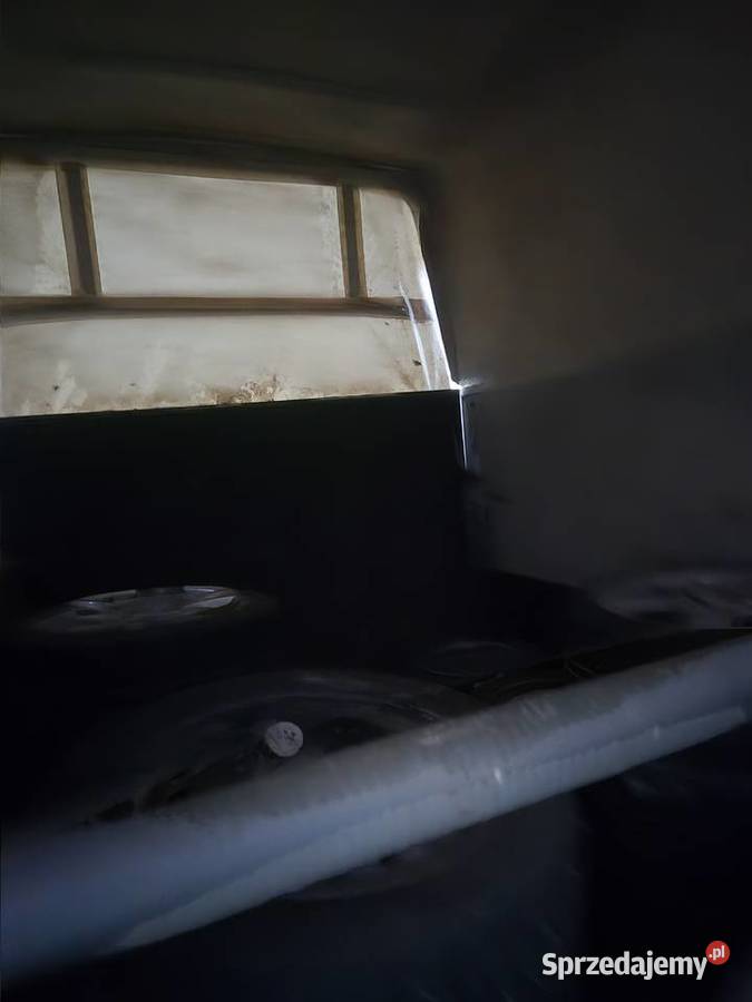 przyczepa koni rapid humbaur