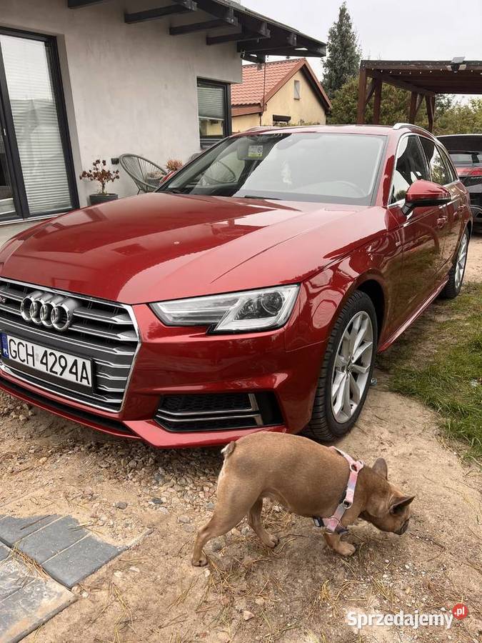 Audi a4b9 s linę 20tdi 150 Rok produkcji 2017