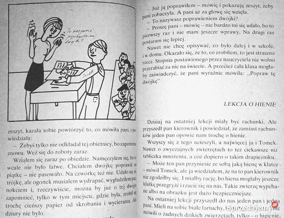 Chłopak na opak Hanna Ożogowska sprzedam