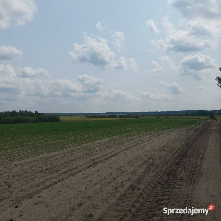 Działka siedliskowa Huta