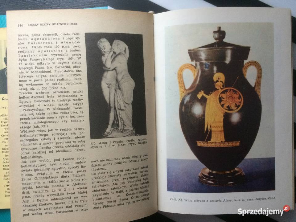 3546 Historia Sztuki W Zarysie zachodniopomorskie Szczecin