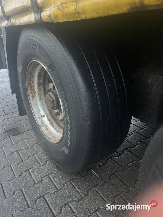 Syndyk sprzeda naczepę Krone SD Iłowa