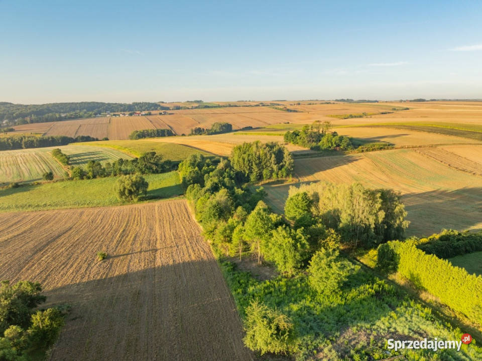 80 arów pozwolenie na budowę 2 domów 806300m2 małopolskie Nowa Wieś sprzedam